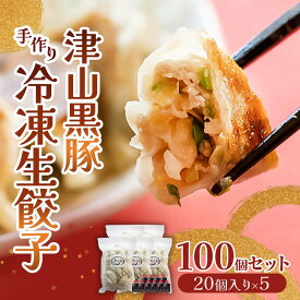 【ふるさと納税】津山黒豚手作り冷凍生餃子(100個セット) TY0-0374