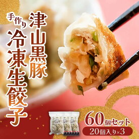 【ふるさと納税】津山黒豚手作り冷凍生餃子(60個セット) TY0-0375