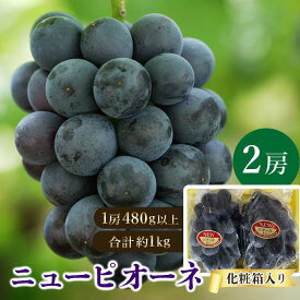 【ふるさと納税】＜2024年発送＞岡山県産 ニューピオーネ2房 (1房480g以上・合計約1kg) 化粧箱入り TY0-0397