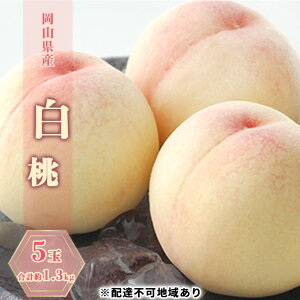 yӂ邳Ɣ[Łz 2026N s\  5 v1.3kg   RY Y t[c ʕ Mtg@͂F2026N7{`2026N7{