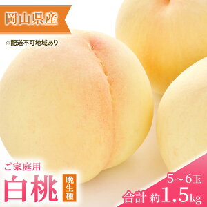 yӂ邳Ɣ[Łz 2026N s\ ƒp iӐj5`6 v1.5kg   RY Y t[c ʕ Mtg@͂F2026N8{`2026N8{