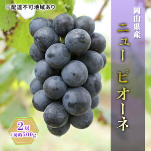 yӂ邳Ɣ[ŁzԂǂ 2026N s\ j[ sI[l 2[i1[500gj uhE  RY Y t[c ʕ Mtg@͂F2026N7{`2026N8{