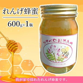 【ふるさと納税】れんげ 蜂蜜 はちみつ 加工食品　【蜂蜜 加工食品】