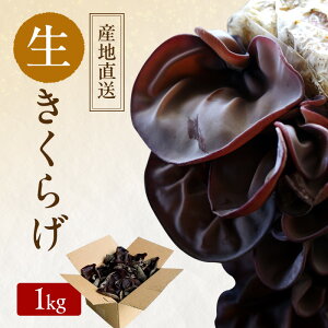 yӂ邳Ɣ[Łzy Yn z L@JAS 炰 1kg I[KjbN 炰  ̂ R ʖs ͔|Ԓw엿sgp ͔|Ԓ_sgp ؃Zbg