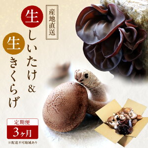 yӂ邳Ɣ[Łzy Yn z L@JAS ő 800g  炰 200g  3 I[KjbN  ő 炰 ̂  R ʖs ͔|Ԓw엿sgp ͔|Ԓ