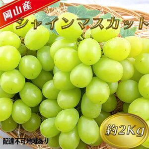 【ふるさと納税】ぶどう 2026年 先行予約 シャイン マスカット 【8月中旬〜順次発送分】約2kg 糖度抜群! ブドウ 葡萄 岡山県産 国産 フルーツ 果物 ギフト 果物類  お届け:2026年8月中旬〜202
