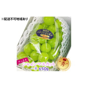 【ふるさと納税】ぶどう 2026年 先行予約 シャインマスカット 晴王【8月上旬〜順次発送分】1房(約650g)秀品【配送不可:離島】 果物類 フルーツ 果物 葡萄  お届け:2026年8月上旬〜2026年9