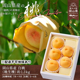 【ふるさと納税】桃 2025年 先行予約 白桃 晩生種 約1.3kg 5～6玉 もも モモ 岡山県産 国産 フルーツ 果物 ギフト 果物類 　お届け：2025年8月上旬～2025年9月中旬