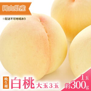 yӂ邳Ɣ[Łz 2026N s\ R  3ʁiӐji1ʖ300gj   RY Y t[c ʕ Mtg@͂F2026N7{`2026N8{
