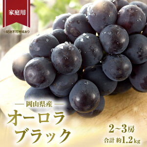 【ふるさと納税】ぶどう 2026年 先行予約 ご家庭用 オーロラブラック 2〜3房 合計約1.2kg ブドウ 葡萄 岡山県産 国産 フルーツ 果物 ギフト お届け:2026年8月下旬〜2026年9月下旬
