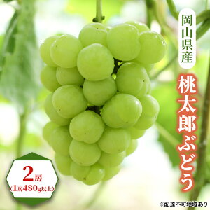 �y�ӂ邳�Ɣ[�Łz�Ԃǂ� 2026�N ��s�\�� �����Y �Ԃǂ� 2�[�i1�[480g�ȏ�j �u�h�E ���� ���R���Y ���Y �t���[�c �ʕ� �M�t�g �@���͂��F2026�N8�����{�`2026�N9�����{