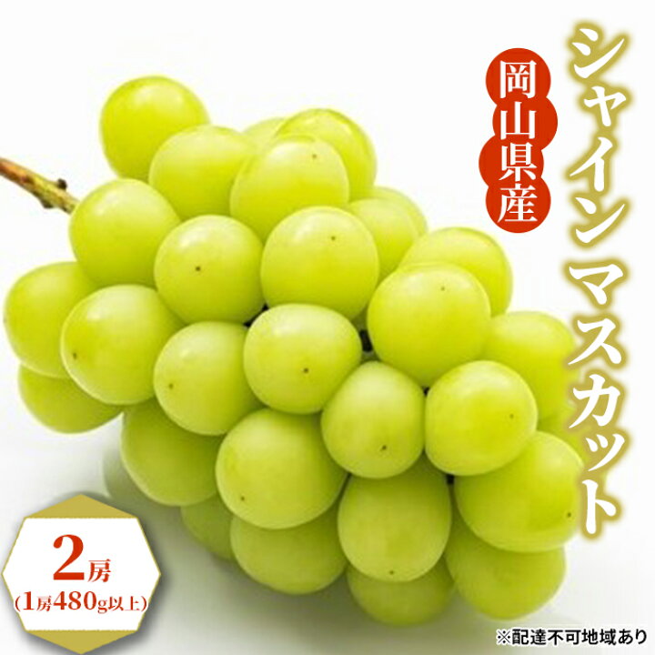楽天市場 ふるさと納税 ぶどう 23年先行予約 シャインマスカット 2房 1房480g以上 岡山県産 マスカット 果物 ぶどう フルーツ 果物類 シャインマスカット ブドウ お届け 23年8月中旬 23年9月下旬 岡山県玉野市