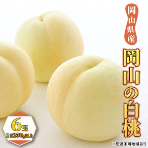 �y�ӂ邳�Ɣ[�Łz�� 2026�N ��s�\�� ���� 6�ʁi1��250g�ȏ�j ���� ���� ���R���Y ���Y �t���[�c �ʕ� �M�t�g �ʕ��� �@���͂��F2026�N7����{�`2026�N8�����{