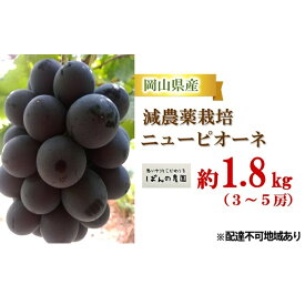 【ふるさと納税】ぶどう 2024年 先行予約 ニュー ピオーネ 約1.8kg 3～5房 減農薬栽培 ブドウ 葡萄 岡山県産 国産 フルーツ 果物 ギフト ばんの農園　【 種なし 岡山 種無しぶどう 減農薬 果物類 爽やか 酸味 コク 】　お届け：2024年9月上旬～2024年10月上旬