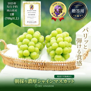yӂ邳Ɣ[ŁzԂǂ 2025N s\ VC }XJbg 1[i700gȏjNX uhE  RY Y t[c ʕ Mtg OEC KINGDOM Ԃǂ ʕ @͂F2025N8{