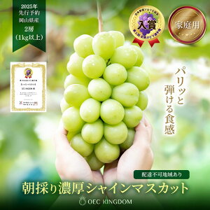 yӂ邳Ɣ[ŁzԂǂ 2025N s\ mƒpn VC }XJbg 2[iv1kgȏj uhE  RY Y t[c ʕ OEC KINGDOM Ԃǂ ʕ @͂F2025N8{`