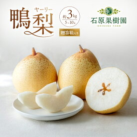 【ふるさと納税】梨 2026年 先行予約 鴨梨（ヤーリー）5～10玉 合計約3kg 贈答箱 【11月下旬～12月中旬頃発送】ナシ なし 岡山県産 国産 フルーツ 果物 ギフト 石原果樹園 ヤーリー 　お届け：2026年11月15日～2026年12月20日