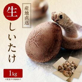 【ふるさと納税】【 産地直送 】 有機JAS 生しいたけ 1kg オーガニック しいたけ きのこ 野菜 岡山県 玉野市 栽培期間中化学肥料不使用 栽培期間中農薬不使用