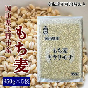 yӂ邳Ɣ[Łz   yʔNoׁzRʖsY  L` 950g×5 @͂F