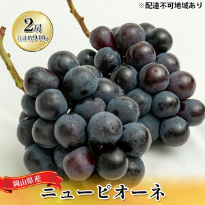 yӂ邳Ɣ[ŁzԂǂ 2026N s\ j[ sI[l 2[iv940gjϔ uhE  RY Y t[c ʕ Mtg @͂F2026N8{`2026N9{