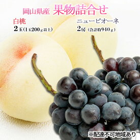 【ふるさと納税】桃 ぶどう 2026年 先行予約 果物詰合せ 白桃 2玉（1玉200g以上） ニュー ピオーネ 2房（合計約940g）化粧箱入り 岡山県産 国産 フルーツ ギフト もも セット 　お届け：2026年7月上旬～2026年8月上旬