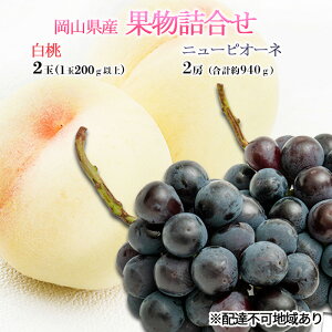 yӂ邳Ɣ[Łz Ԃǂ 2026N s\ ʕl  2ʁi1200gȏj j[ sI[l 2[iv940gjϔ RY Y t[c Mtg  Zbg @͂F2026N7