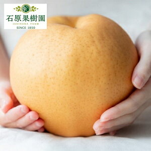 yӂ邳Ɣ[Łz 2025N s\ Ojij 1 (1`1.4kg)  y11{`12{ziV Ȃ RY Y t[c ʕ Mtg Όʎ @͂F2025N11