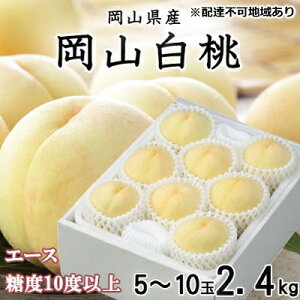 yӂ邳Ɣ[Łz 2026N s\ R  G[X 5`10 2.4kg JA  ̂iEj   RY Y t[c ʕ Mtg Â  Yn 蕨 