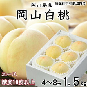 yӂ邳Ɣ[Łz 2026N s\ R  G[X 4`8 1.5kg JA  ̂iEj   RY Y t[c ʕ Mtg Â  Yn 蕨 