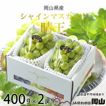 楽天市場】岡山 シャインマスカット 晴王の通販 