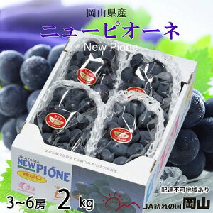 yӂ邳Ɣ[ŁzԂǂ 2026N s\ j[ sI[l 3[`6[ 2kg uhE  RY Y t[c ʕ Mtg ʕ j[sI[l _ 嗱 Ȃ lC x Â ʏ` @