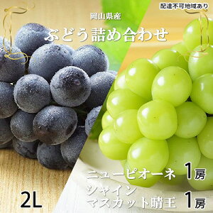 yӂ邳Ɣ[ŁzԂǂ 2026N s\ j[ sI[l 1[ 500g VC }XJbg  1[ 500gi2LTCYjlߍ킹 RY Y t[c ʕ Mtg 嗱 Ȃ x Â 
