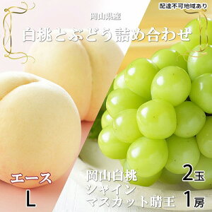 yӂ邳Ɣ[Łz Ԃǂ 2026N s\ R  G[X 2×200giLTCYAEjVC }XJbg  1[400g lߍ킹 RY t[c @͂F2026N7