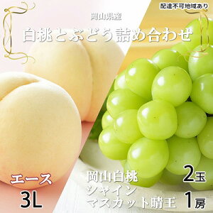 yӂ邳Ɣ[Łz Ԃǂ 2026N s\ R  G[X 2×300gi3LTCYAEjVC }XJbg  1[600g lߍ킹 RY t[c @͂F2026N7