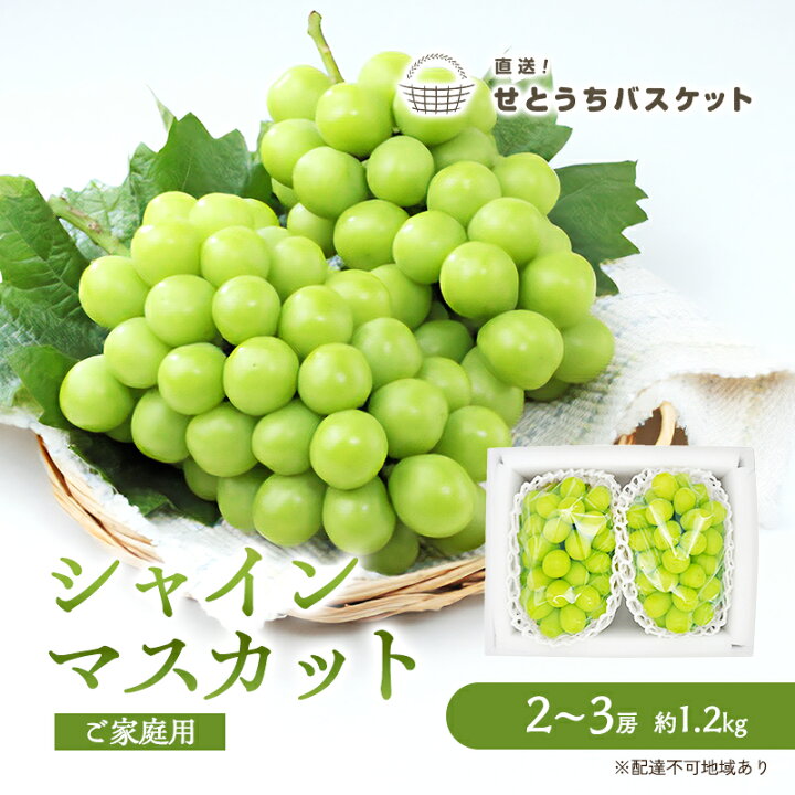 楽天市場 ふるさと納税 ぶどう 23年先行予約 シャインマスカット 2 3房 約1 2kg 家庭用 岡山県産 直送 せとうちバスケット ぶどう 種なし 岡山 大粒 フルーツ 果物 産地直送 デザート おやつ 秋の味覚 お届け 23年9月15日 23年10月日 岡山県