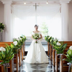 yӂ邳Ɣ[Łzʖs WEDDING x[VbN v   `Pbg _Ch ˓ } ze  EGfBO `y LO vo ˓C _Ch˓}z