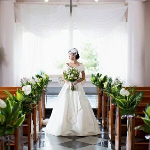 yӂ邳Ɣ[Łzʖs WEDDING x[VbN v   { Ht _Ch ˓ } ze  EGfBO `y LO vo `Pbg ˓C _Ch