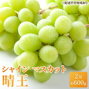 yӂ邳Ɣ[ŁzԂǂ 2025N s\ VC }XJbg  600g×2[ uhE  RY Y t[c ʕ Mtg ʕ @͂F2025N8{`2025N11{