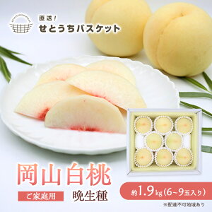 yӂ邳Ɣ[Łz 2026N s\ R iӐjƒp 2kg 6`9ʓ   RY Y t[c ʕ IƂoXPbg  Yi   ʏ` V[Y