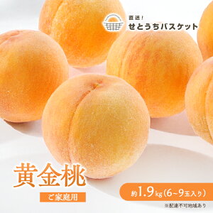 yӂ邳Ɣ[Łz 2026N s\ R  ƒp 2kg 6`9ʓ   RY Y t[c ʕ IƂoXPbg XC[c  Yi   ʏ` V[