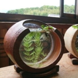 【ふるさと納税】【東児の花窯】備前焼　めだか鉢　ベージュ　緋襷（ひだすき） 民芸品 工芸品 インテリア