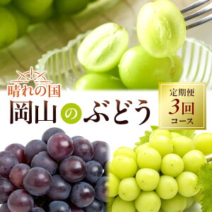 【ふるさと納税】ぶどう 定期便 2026年 先行予約 晴れの国 岡山 の ぶどう定期便 3回コース 葡萄 ブドウ 岡山県産 国産 セット ギフト 旬のぶどう アレキサンドリア ニューピオーネ 強い甘み