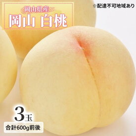 【ふるさと納税】桃 2026年 先行予約 白桃 3玉入り 合計600g前後 岡山県産もも モモ 岡山県産 国産 フルーツ 果物 ギフト デザート 芳醇な香り 岡山の桃 　お届け：2026年7月上旬～2026年8月中旬