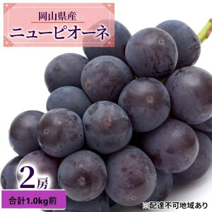 【ふるさと納税】ぶどう 2026年 先行予約 ニュー ピオーネ 2房 合計1.0kg前後 ブドウ 葡萄 岡山県産 国産 フルーツ 果物 ギフト デザート 食後 種なし 大粒 甘みが強い 酸味 バランス  お届け: