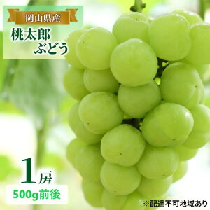 yӂ邳Ɣ[ŁzԂǂ 2025N s\ Y Ԃǂ 1[ 500gO uhE  RY Y t[c ʕ Mtg fU[g H Ȃ 炲 @͂F2025N9{`2025N10{