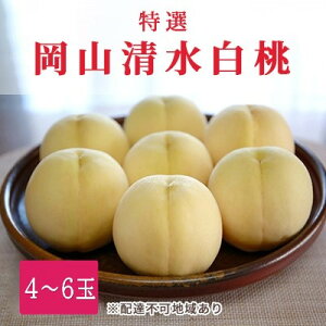 yӂ邳Ɣ[Łz 2026N s\ I R 4`6 1.5kie1.3kgȏj  RY Y t[c ʕ Mtg@͂F2026N7{`2026N7{