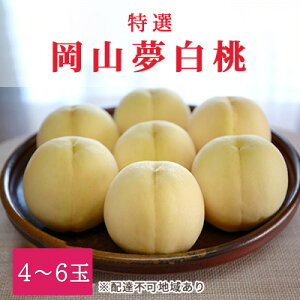 yӂ邳Ɣ[Łz 2026N s\ I ܖ 4`6 1.5kie1.3kgȏj  RY Y t[c ʕ Mtg@͂F2026N8{`2026N8{