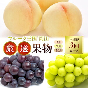 yӂ邳Ɣ[Łzt[c  2026N s\ t[c R I ʕ i7 9 10j3R[X    Ԃǂ RY Y Zbg Mtg j[sI[l VC}XJ