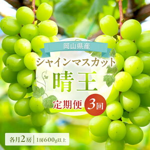 yӂ邳Ɣ[ŁzԂǂ  2026N s\ VC }XJbg  e2[i1[600gȏj 3R[X }XJbg uhE  RY Y t[c ʕ Mtg iȍ ō 