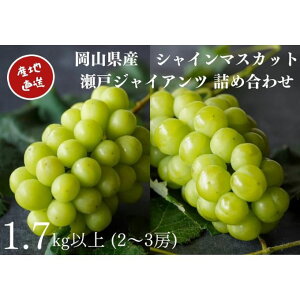 yӂ邳Ɣ[ŁzI VC}XJbgE˃WCAc 2`3[ v1.7kgȏ l Yn ̂ Ԃǂ  Kawahara Green Farm RY2026N ʕ t[c R̃uhE fU[g 